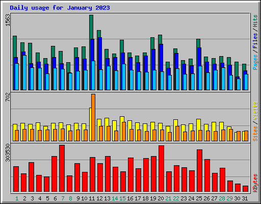 Daily usage for January 2023