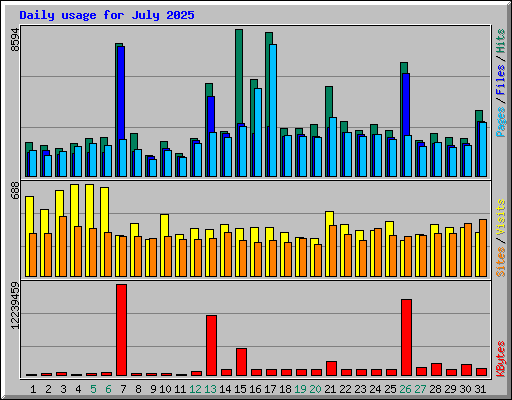 Daily usage for July 2025
