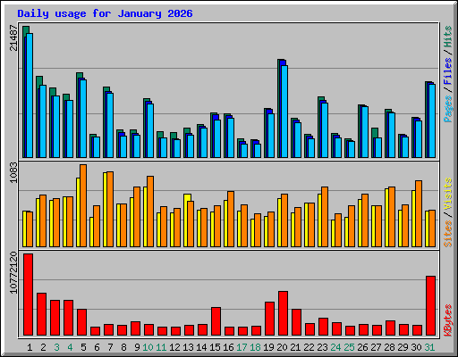 Daily usage for January 2026