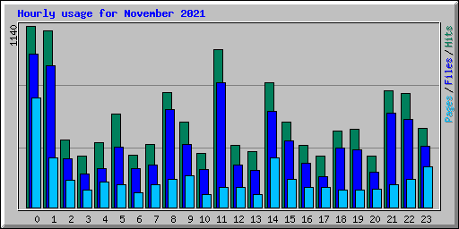 Hourly usage for November 2021