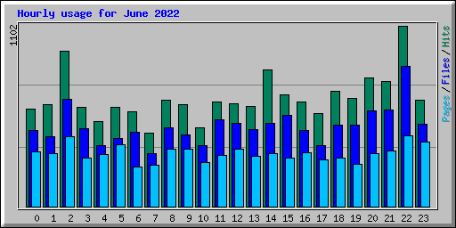 Hourly usage for June 2022