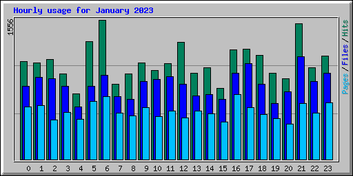 Hourly usage for January 2023