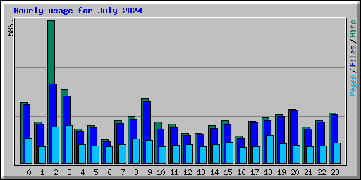 Hourly usage for July 2024