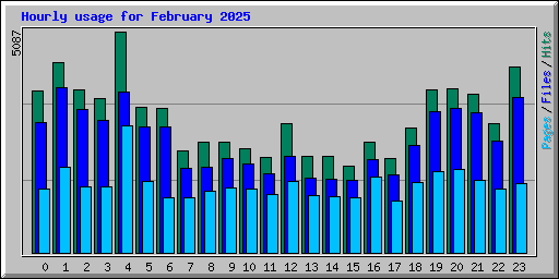 Hourly usage for February 2025