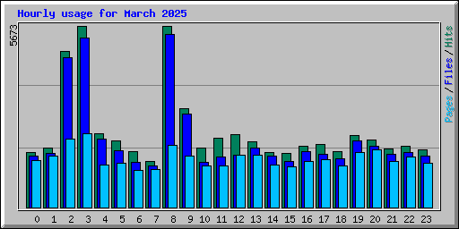 Hourly usage for March 2025