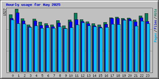 Hourly usage for May 2025