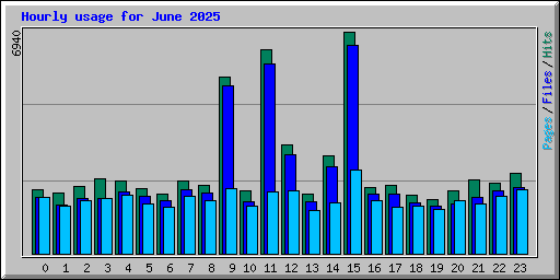 Hourly usage for June 2025