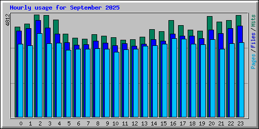 Hourly usage for September 2025