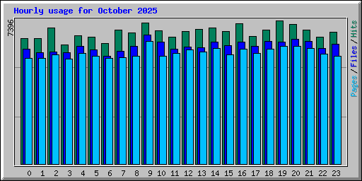 Hourly usage for October 2025
