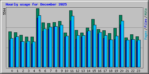 Hourly usage for December 2025