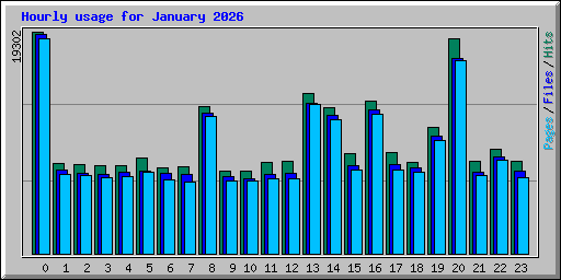 Hourly usage for January 2026