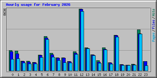 Hourly usage for February 2026