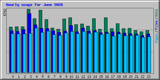 Hourly usage for June 2026