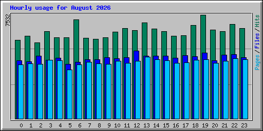 Hourly usage for August 2026